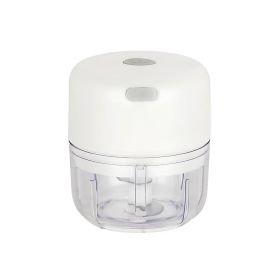 Best Ergonomic Garlic Mincer Kitchen Garlic Chopping Tool For Cooking Pasta