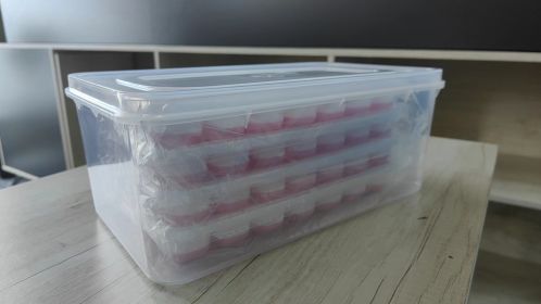 Ice Mold (Color: Pink)