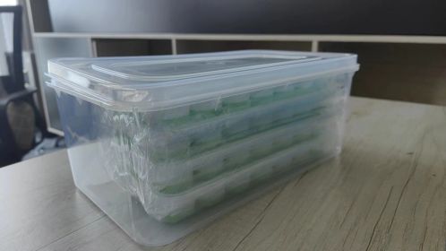 Ice Mold (Color: Green)